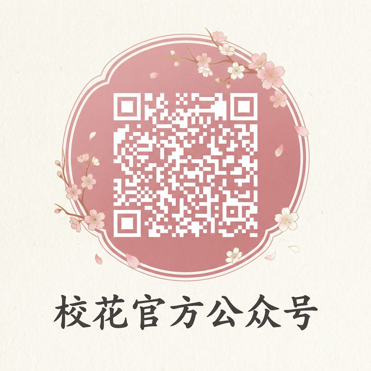 暗网传媒微信公众号二维码扫码关注
